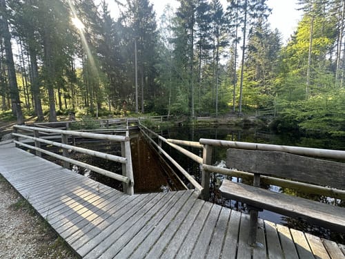 Ölmühlentour (Traumschleife)