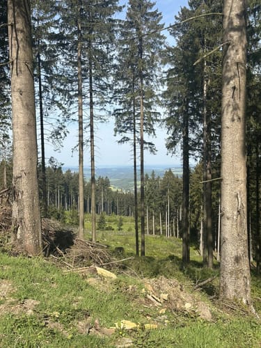 Ölmühlentour (Traumschleife)