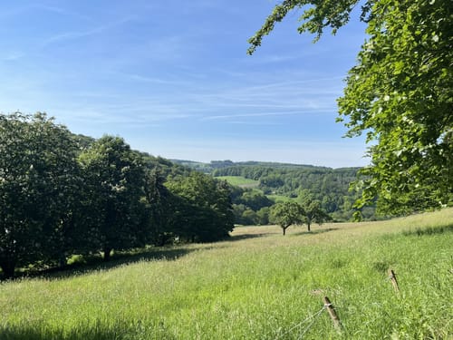 Von Nierenhof um den Hölterberg