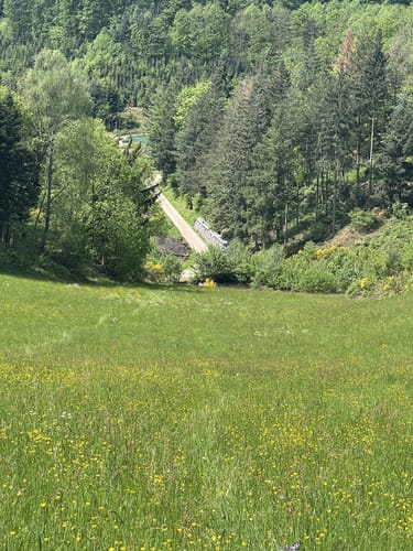 Lautenbacher Hexensteig