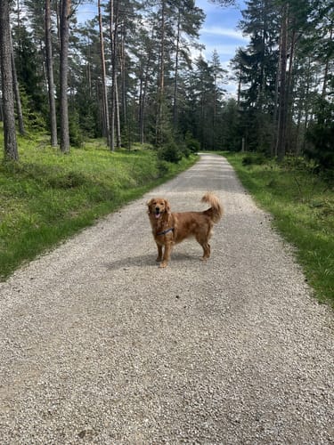 Zum kleinen Lochstein