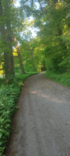 Rund um den Westensee
