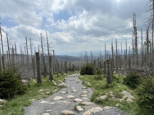 Schierke und Brocken über Eckerlochstieg