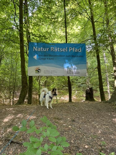 Wennigser Mark - Annaturm Rundweg