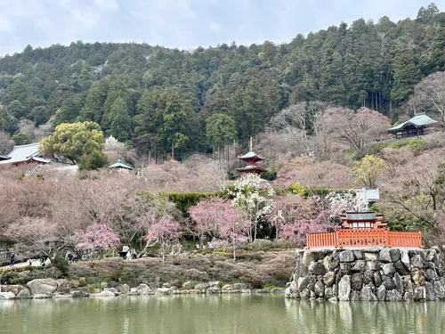 上ウツギ谷池 - hikes and trails to get you there | AllTrails
