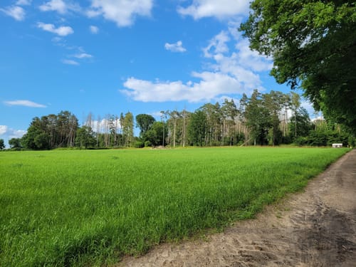 Durch die Lohmarer Heide
