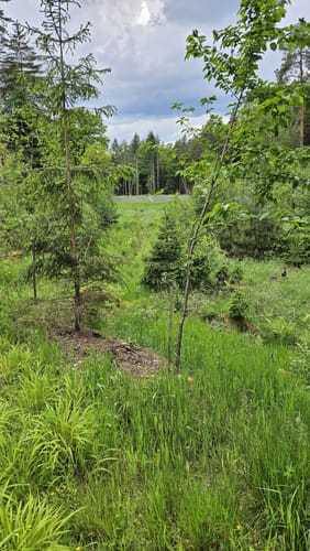 Seerosenteich - Ronnerberg Rundweg