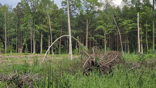 Seerosenteich - Ronnerberg Rundweg