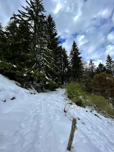 Über Strohmeyer Kapelle - Kälblescheuer - Schloßberg
