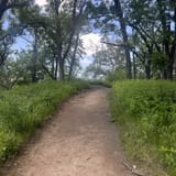 Dozer Cut, Bunker Hill, and Badger Ridge Trail Loop, Iowa - 1,152 ...