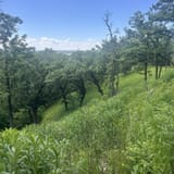 Dozer Cut, Bunker Hill, and Badger Ridge Trail Loop, Iowa - 1,157 ...