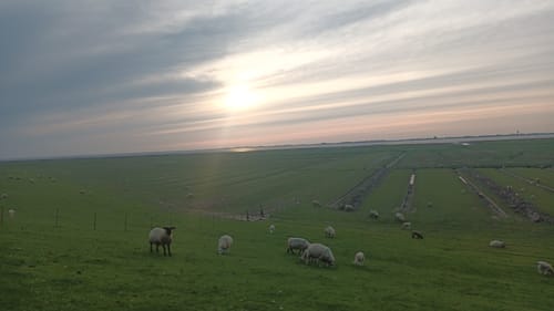 Pellworm Rundweg