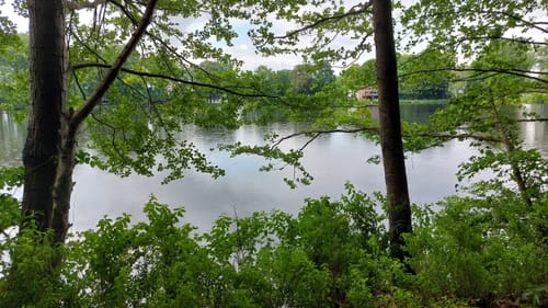 Um den Mühlenteich