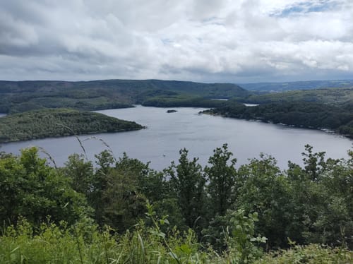 Rursee: Schöne Aussicht