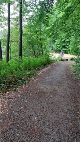 Um den Mühlenteich