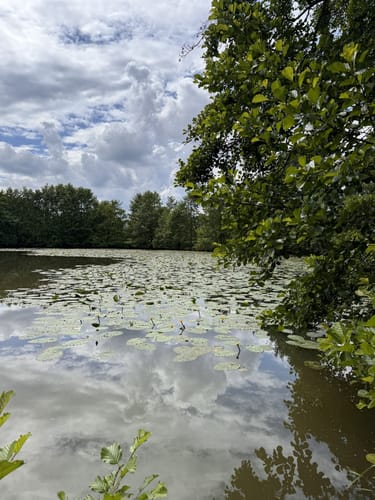 Oldinghausen - Ebmeiers Teiche - Asbeketal