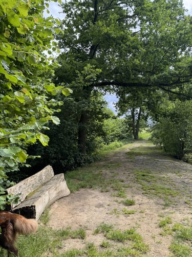Oldinghausen - Ebmeiers Teiche - Asbeketal