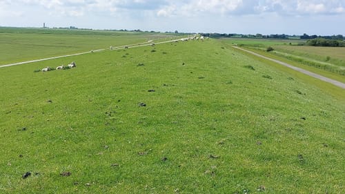 Süderhafen - Pohnshallighoog