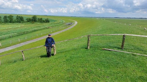 Süderhafen - Pohnshallighoog
