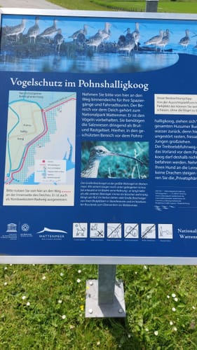 Süderhafen - Pohnshallighoog
