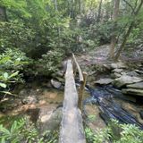 Raven Rock Loop Trail, South Carolina - 2,380 Reviews, Map | AllTrails