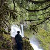 Koosah and Sahalie Falls Trail, Oregon - 1,733 Reviews, Map | AllTrails