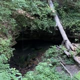 Sand Cave Trail, Kentucky - 363 Reviews, Map | AllTrails