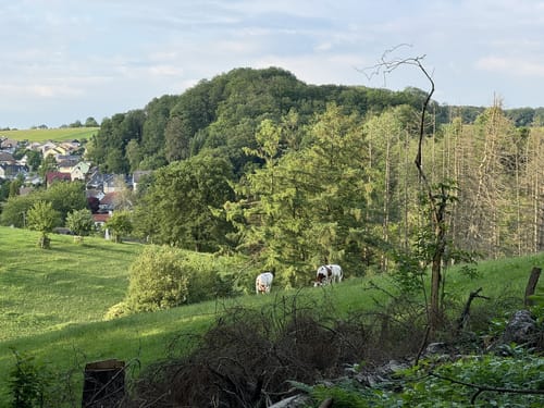 Aggertalhöhle Rundwanderung