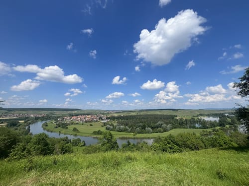 Dschungelpfad und Weinbergsaussicht