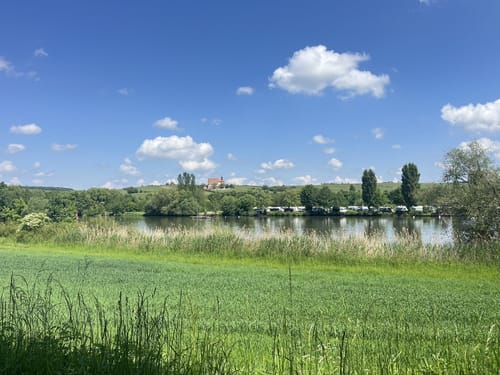 Dschungelpfad und Weinbergsaussicht