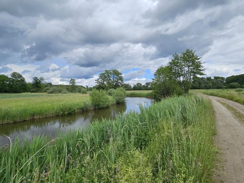Amper zwischen Moosburg und Inkofen