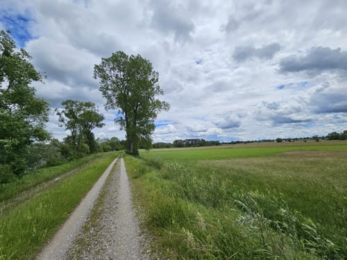 Amper zwischen Moosburg und Inkofen