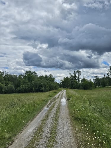 Amper zwischen Moosburg und Inkofen