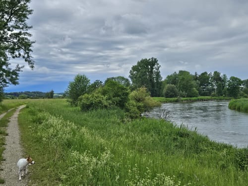 Amper zwischen Moosburg und Inkofen