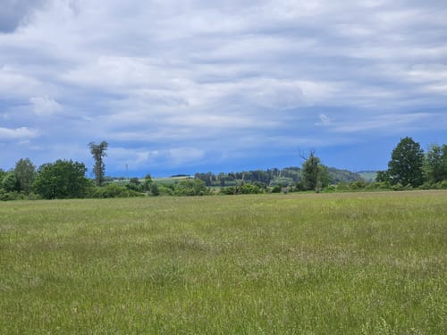 Amper zwischen Moosburg und Inkofen