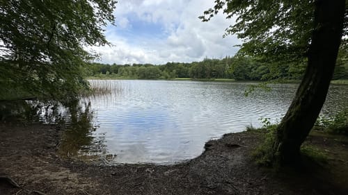 Walkenried - Sachsenstein - Kranichteiche