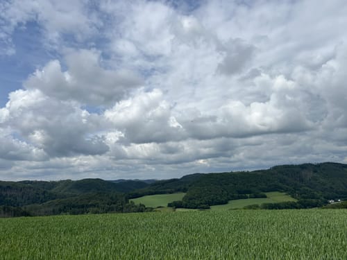 Wiedhöhenweg (Roßbach R1)