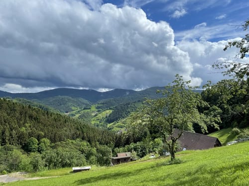 Peterstaler Schwarzwaldsteig (Premiumwanderweg)