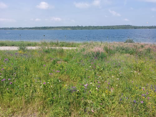 Schladitzer See