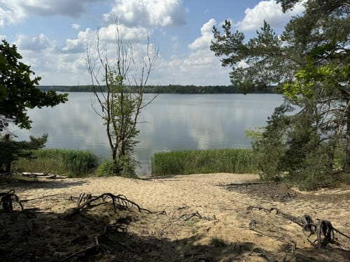 Rund um die Talsperre Spremberg