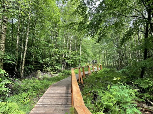 Kell am See ab Landal Greenpark