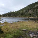 Zealand Summit via Zealand Trail and Appalachian Trail, New Hampshire ...