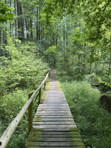Spur der Zaubersteine