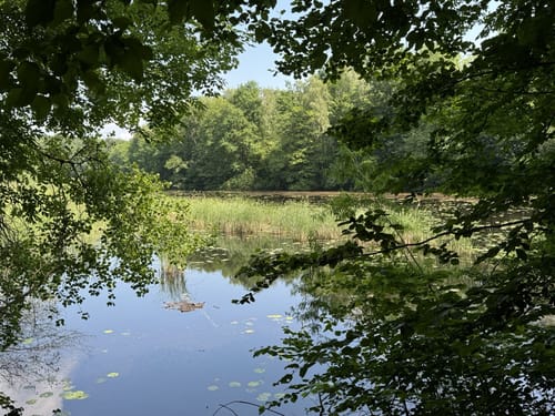 Spur der Zaubersteine