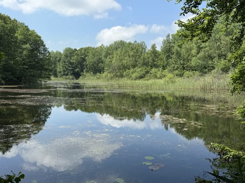 Spur der Zaubersteine
