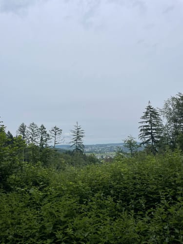 Lahnwanderweg Etappe 13: Weilburg - Aumenau