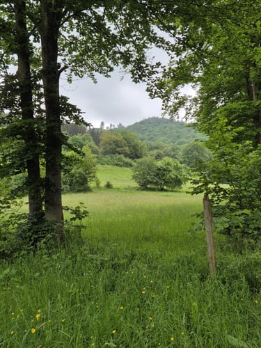 Riffelsbach-Runde (Hammer)