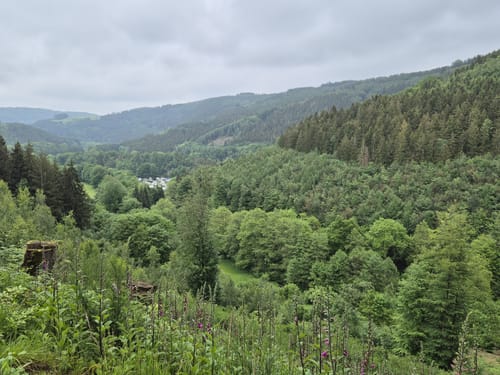 Riffelsbach-Runde (Hammer)