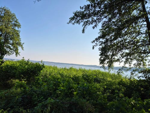 Schwielochsee Runde
