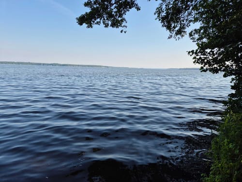 Schwielochsee Runde